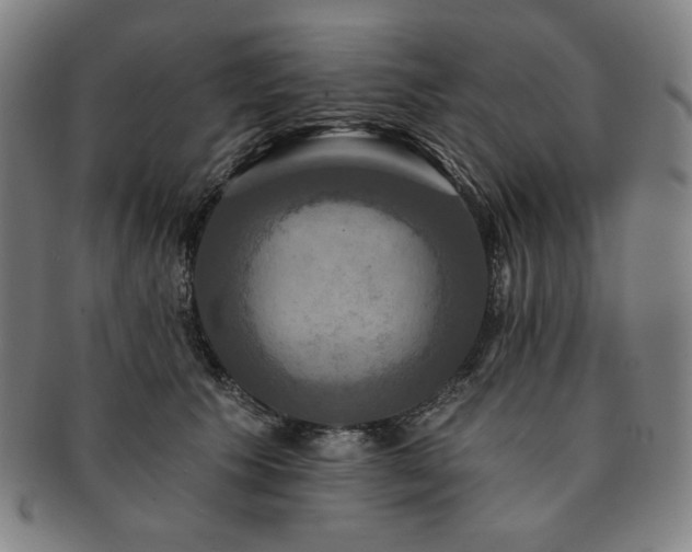 X0000091460609200708231318
