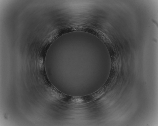 X0000091460610200708231318