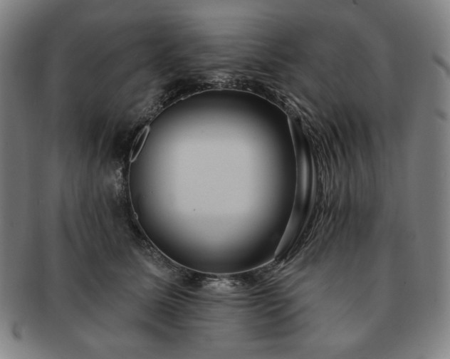 X0000091460611200708231318