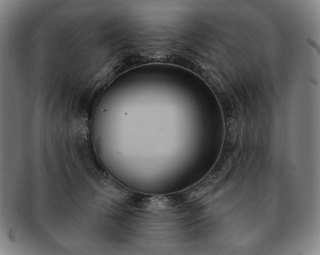 X0000091460612200708231318