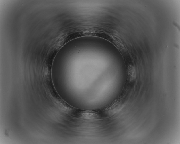 X0000091460614200708231318
