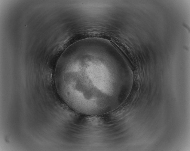 X0000091460615200708231318