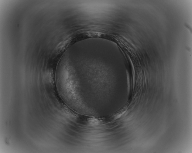 X0000091460616200708231318