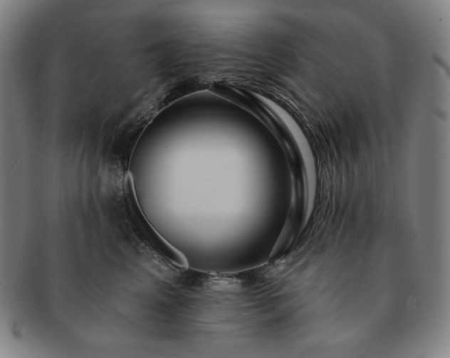 X0000091460617200708231318