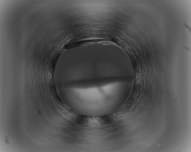 X0000091460618200708231318