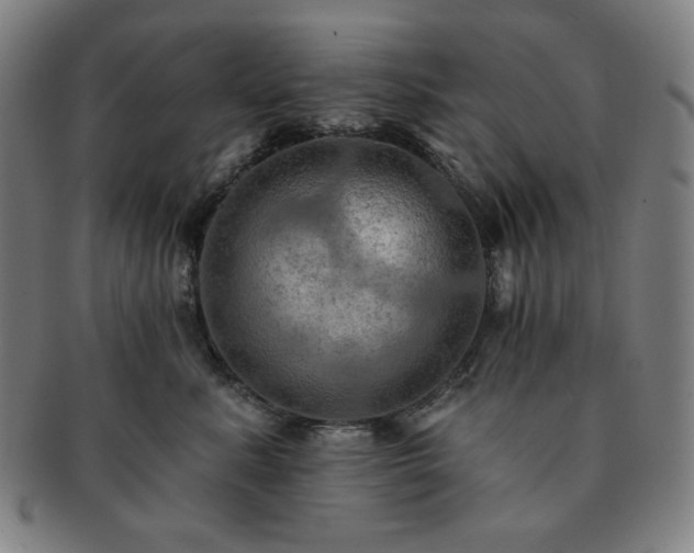 X0000091460619200708231318