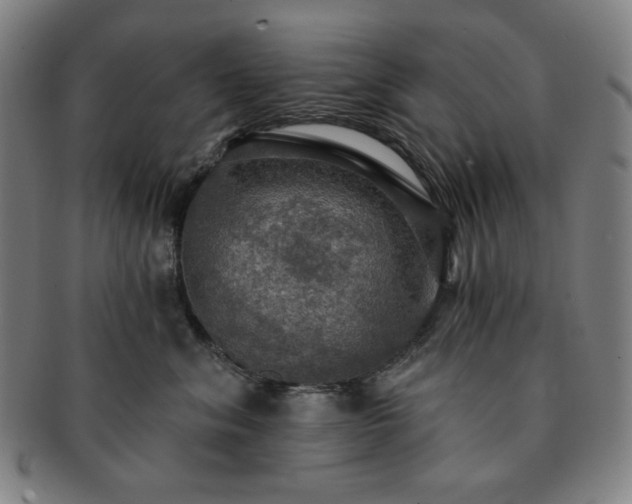 X0000091460620200708231318