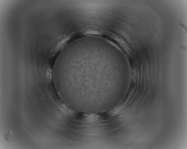 X0000091460621200708231318