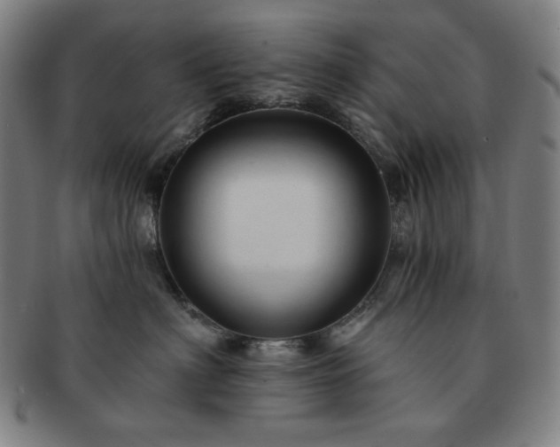 X0000091460622200708231318