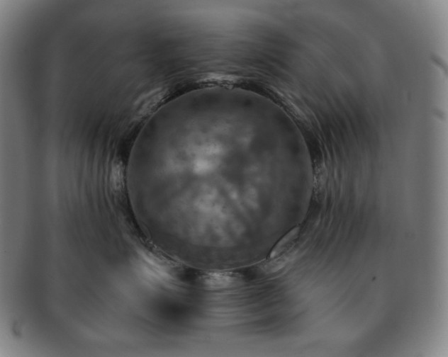 X0000091460623200708231318