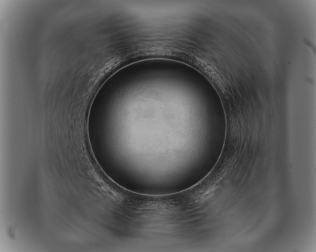 X0000091460625200708231317