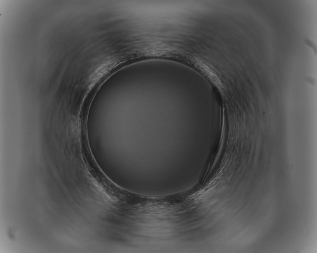 X0000091460626200708231317