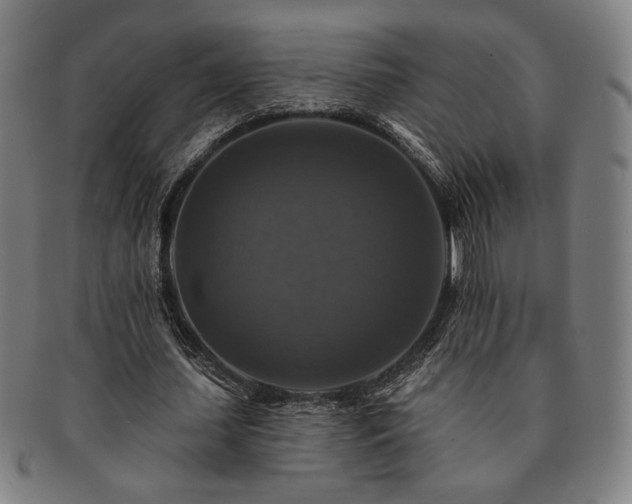 X0000091460627200708231317