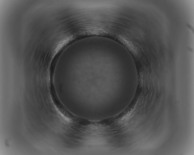 X0000091460630200708231317