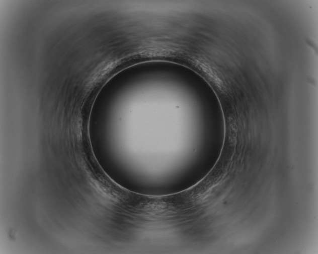 X0000091460631200708231317