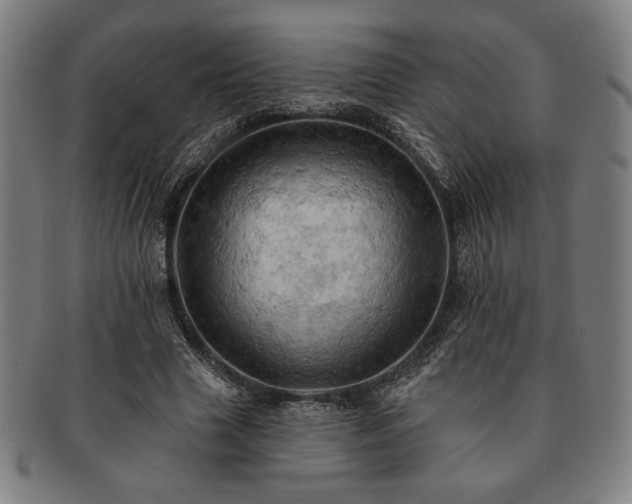 X0000091460633200708231317