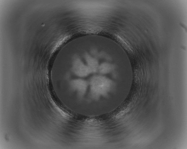 X0000091460634200708231317