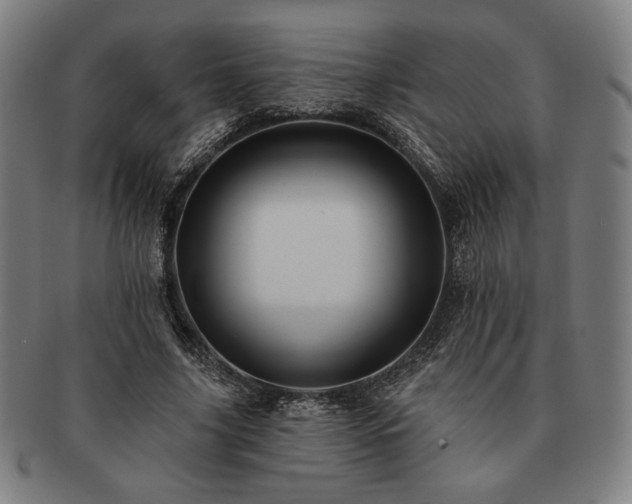 X0000091460635200708231317