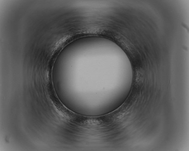 X0000091460636200708231317