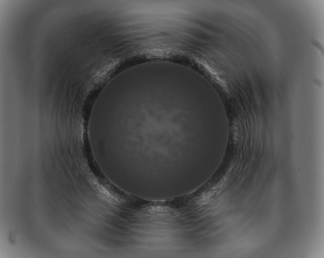X0000091460637200708231317