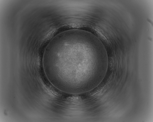 X0000091460639200708231317