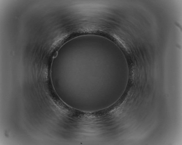 X0000091460640200708231317
