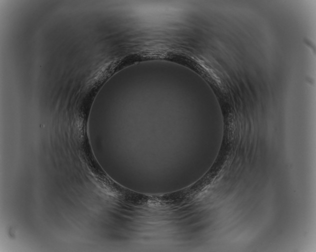 X0000091460641200708231317