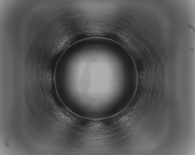 X0000091460642200708231317