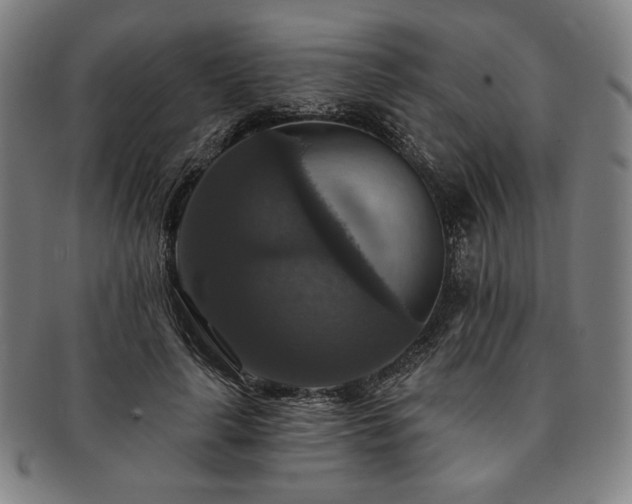 X0000091460643200708231317