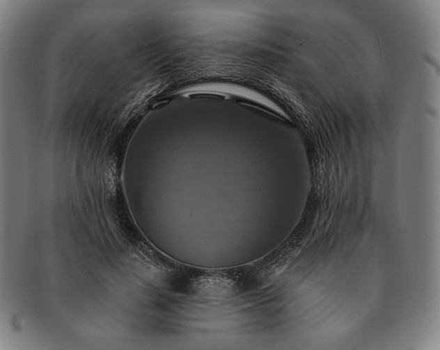 X0000091460644200708231317