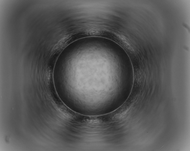 X0000091460645200708231317
