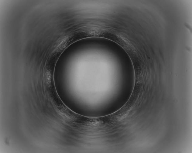 X0000091460646200708231317