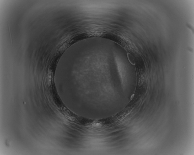 X0000091460647200708231317