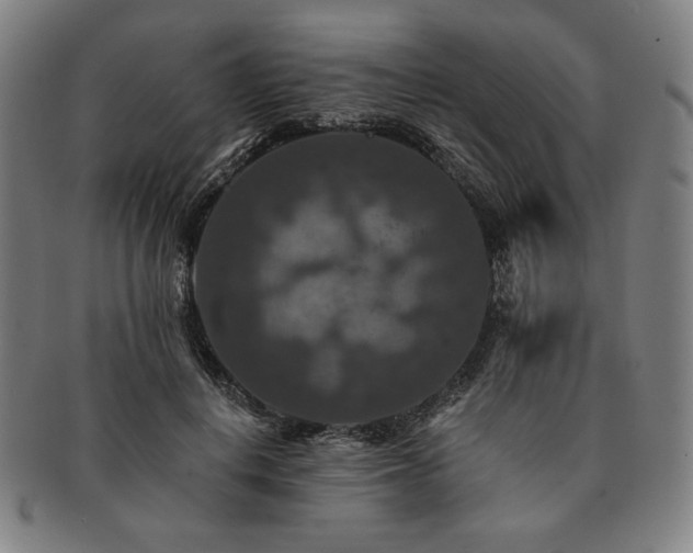 X0000091460648200708231317