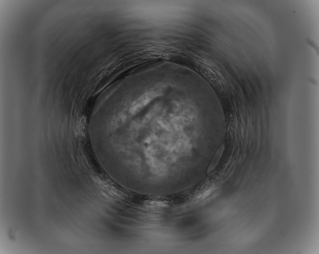 X0000091460649200708231317