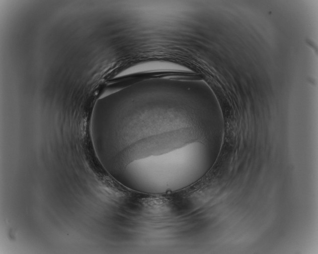 X0000091460652200708231317