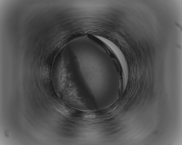 X0000091460653200708231317