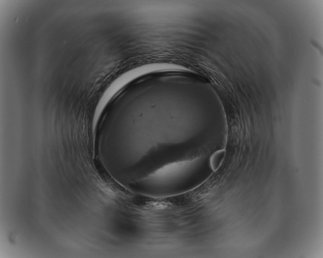 X0000091460654200708231317