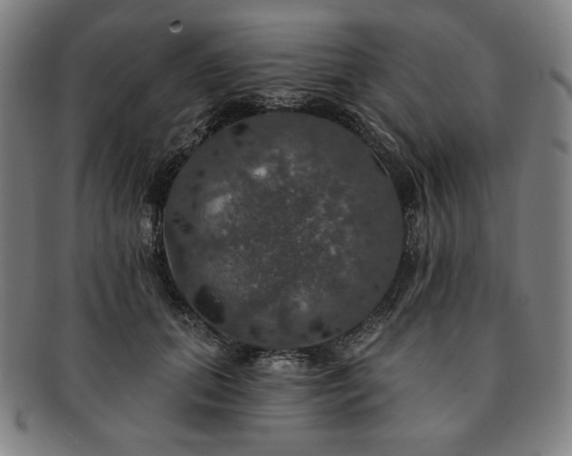 X0000091460655200708231317