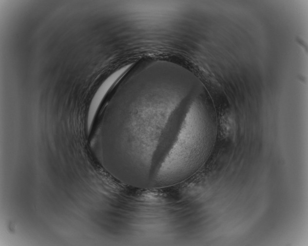 X0000091460657200708231317