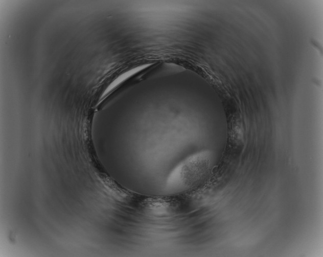 X0000091460658200708231317