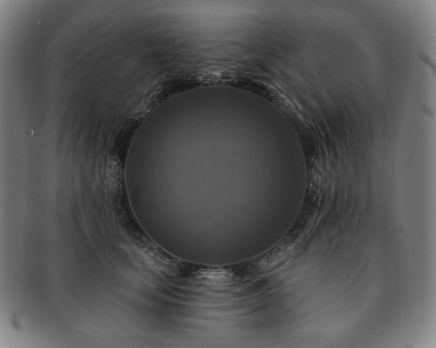 X0000091460659200708231317