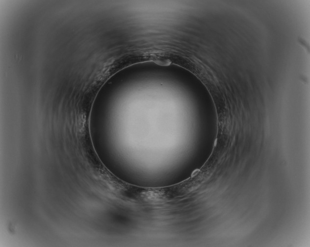 X0000091460660200708231318