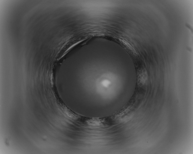 X0000091460661200708231318
