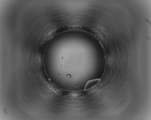 X0000091460662200708231318
