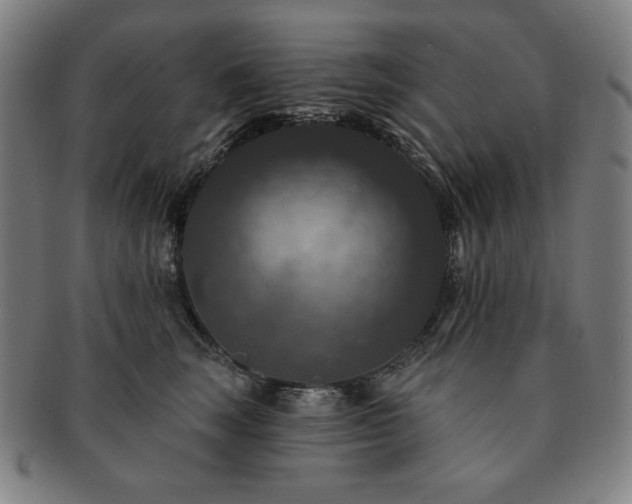 X0000091460663200708231318