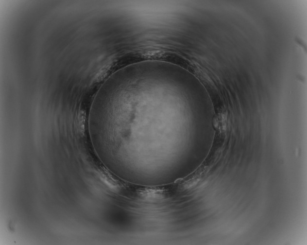 X0000091460664200708231318