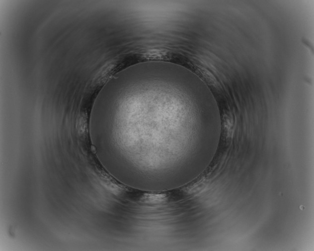 X0000091460665200708231318
