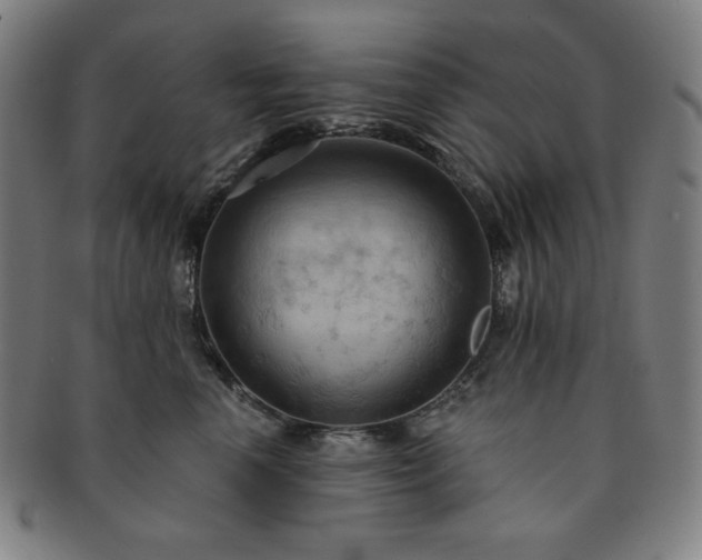 X0000091460666200708231318