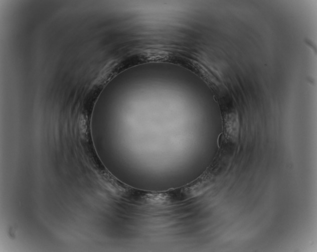 X0000091460667200708231318